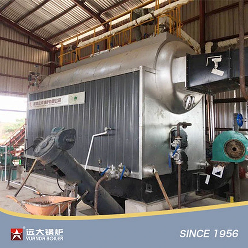 DZL Automatic Chain Grate Coal Boiler Steam Boiler Hot Water Boiler Industrial China