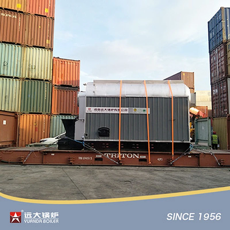 DZL Biomass Fired Boiler Automatic Steam Boiler Hot Water Boiler Pellets Palm Shells Coconuts Solid Waste Fired Boiler