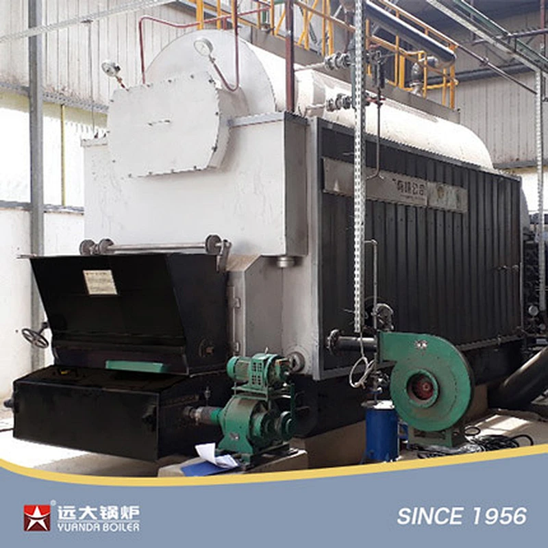 DZL Biomass Fired Boiler Automatic Steam Boiler Hot Water Boiler Pellets Palm Shells Coconuts Solid Waste Fired Boiler