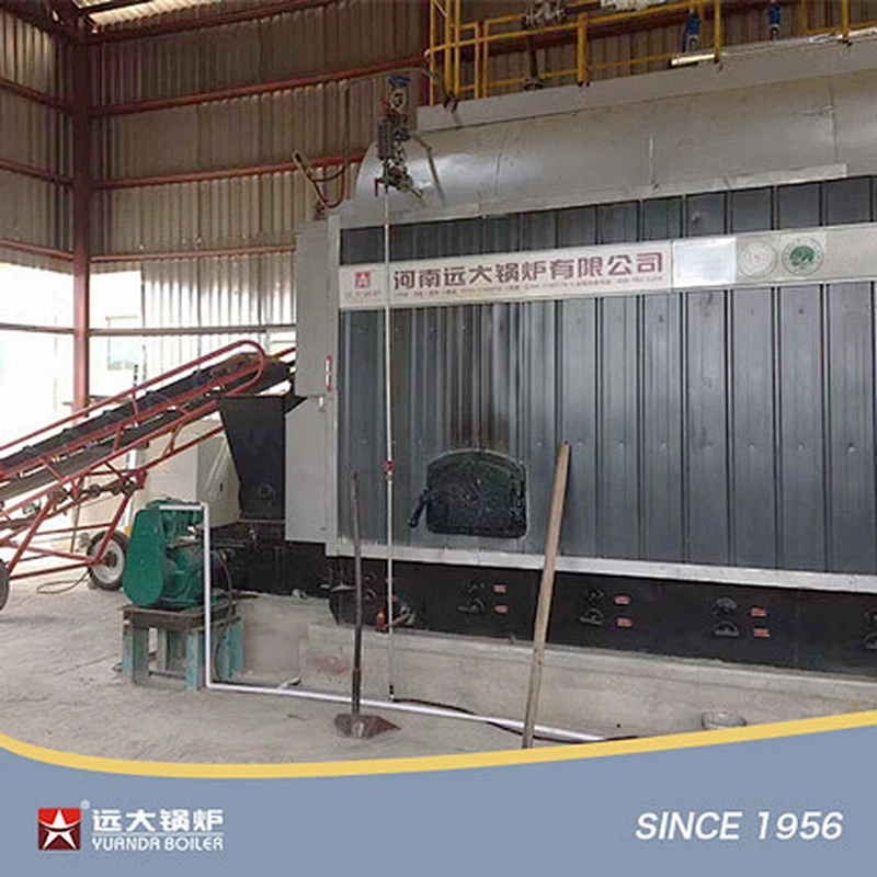 DZL Biomass Fired Boiler Automatic Steam Boiler Hot Water Boiler Pellets Palm Shells Coconuts Solid Waste Fired Boiler
