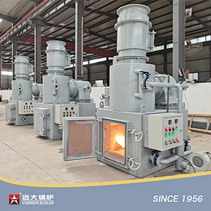 Industrial Smokeless Plasma Animal Pet Carcass Hazardous Hospital Medical Waste Incinerator
