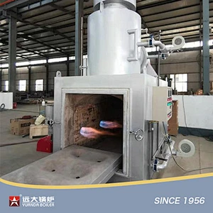 Industrial Smokeless Plasma Animal Pet Carcass Hazardous Hospital Medical Waste Incinerator