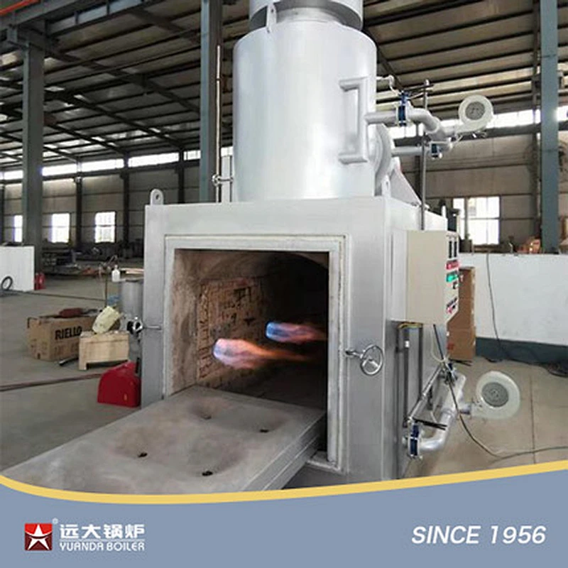 Industrial Smokeless Plasma Animal Pet Carcass Hazardous Hospital Medical Waste Incinerator