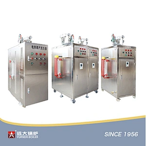 LDR Electric Steam Generator Boiler 50kg 100kg 150kg 200kg 300kg 400kg 500kg 1000kg Small Electric Heating Boiler Steam Boiler