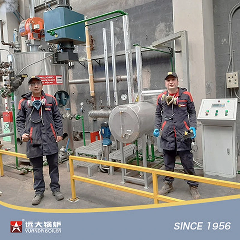 Vertical Gas Diesel Fired Boiler LHS Steam Hot Water Boiler 100kg 200kg 300kg 500kg 600kg 800kg 1000kg
