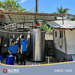 Vertical Gas Diesel Fired Boiler LHS Steam Hot Water Boiler 100kg 200kg 300kg 500kg 600kg 800kg 1000kg