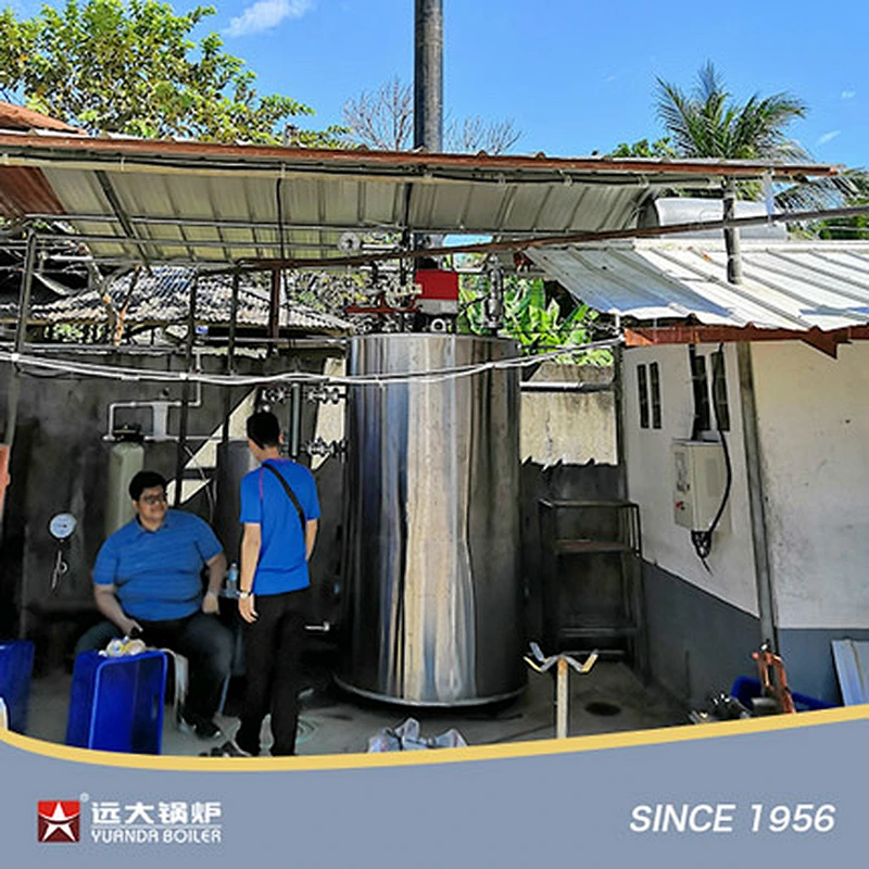 Vertical Gas Diesel Fired Boiler LHS Steam Hot Water Boiler 100kg 200kg 300kg 500kg 600kg 800kg 1000kg