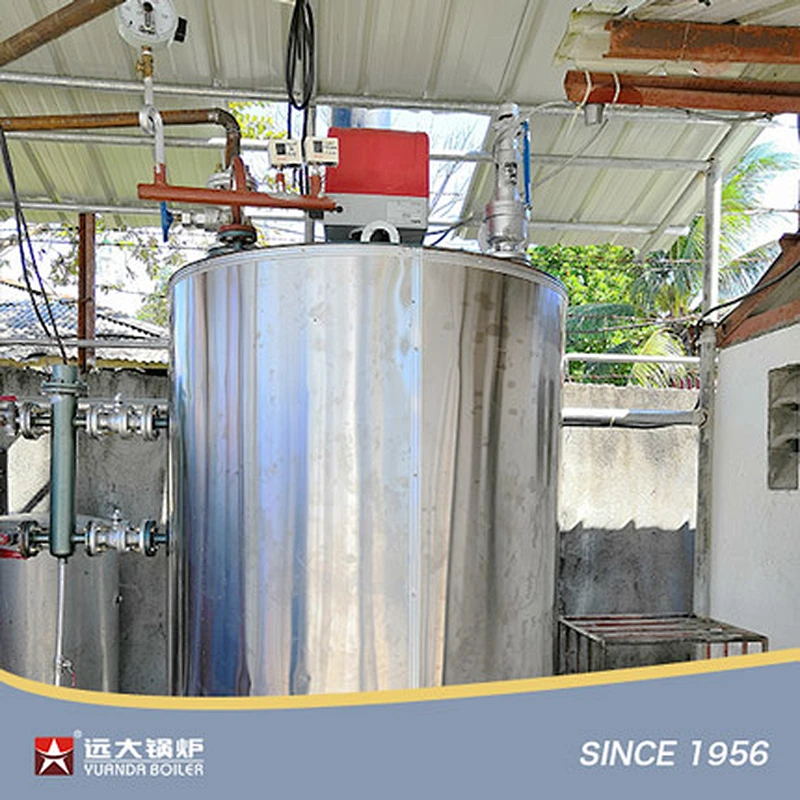 Vertical Gas Diesel Fired Boiler LHS Steam Hot Water Boiler 100kg 200kg 300kg 500kg 600kg 800kg 1000kg
