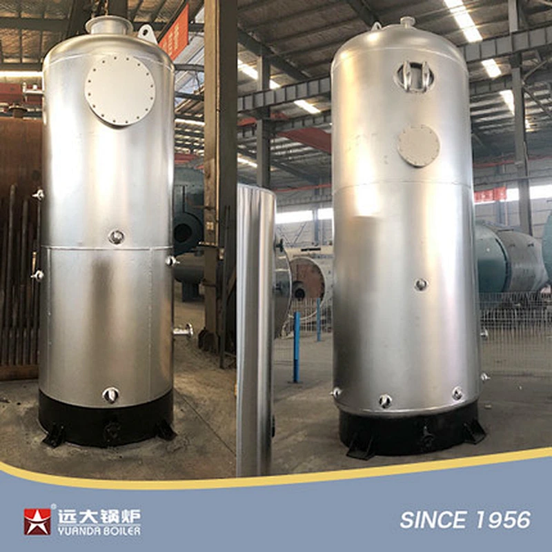 LSG Series Vertical Coal Fired Boiler Small Coal Steam Boiler 300kg 500kg 1000kg 2000kg