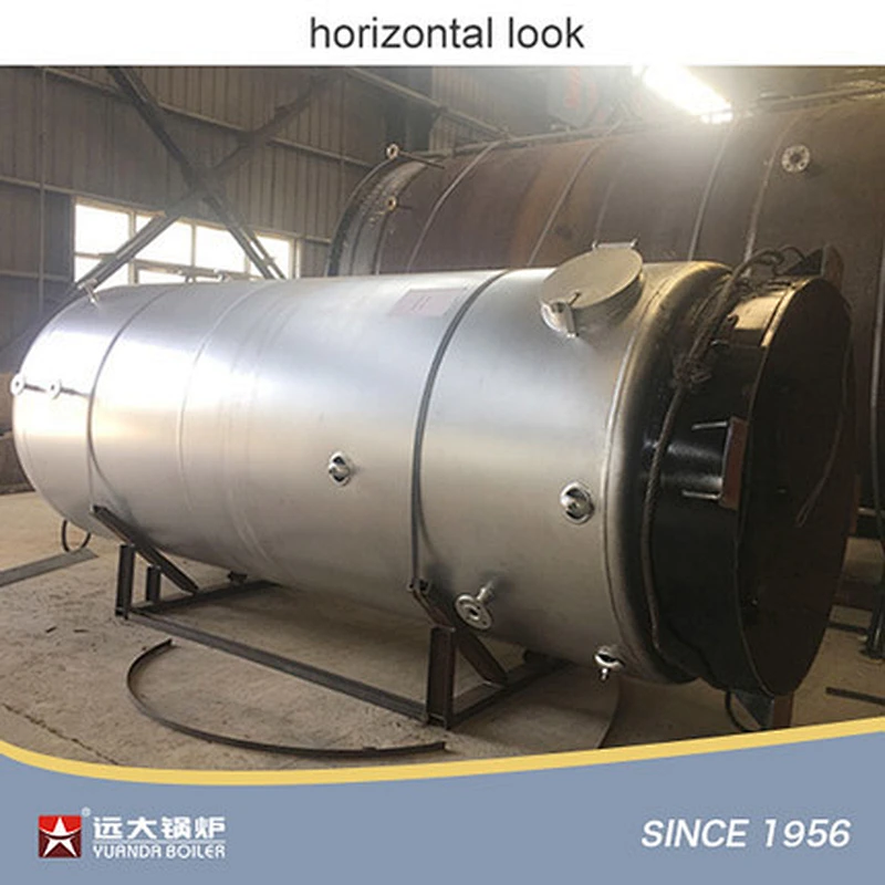 LSG Series Vertical Coal Fired Boiler Small Coal Steam Boiler 300kg 500kg 1000kg 2000kg