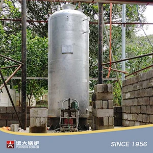LSG Series Vertical Coal Fired Boiler Small Coal Steam Boiler 300kg 500kg 1000kg 2000kg