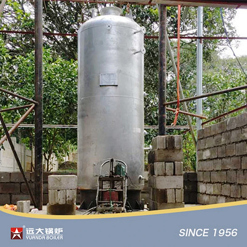 LSG Series Vertical Coal Fired Boiler Small Coal Steam Boiler 300kg 500kg 1000kg 2000kg