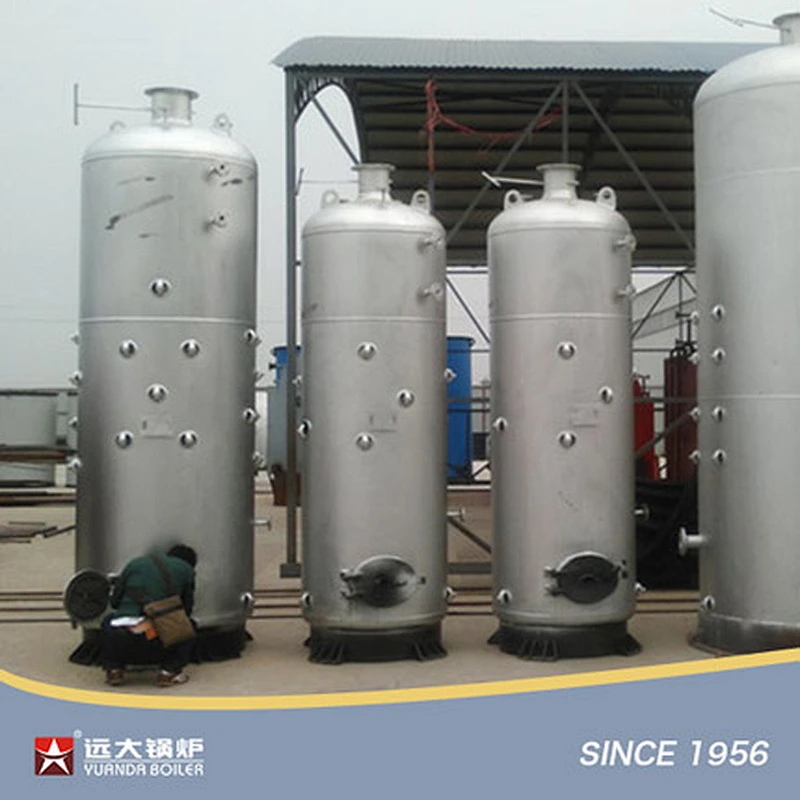 LSG Series Vertical Coal Fired Boiler Small Coal Steam Boiler 300kg 500kg 1000kg 2000kg
