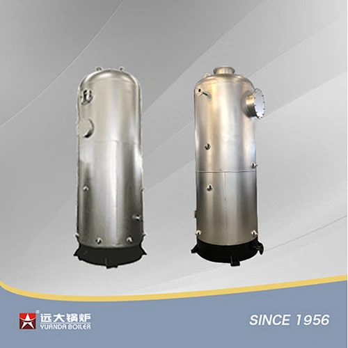 LSG Series Vertical Coal Fired Boiler Small Coal Steam Boiler 300kg 500kg 1000kg 2000kg