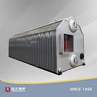 SZL Series Biomass Steam Boiler Double Drums Water Tube Boiler Solid Waste Boiler