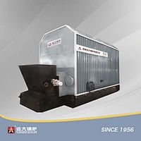 YLW Coal Biomass Thermic Fluid Heater Horizontal Chain Grate Thermal Oil Heater Boiler China