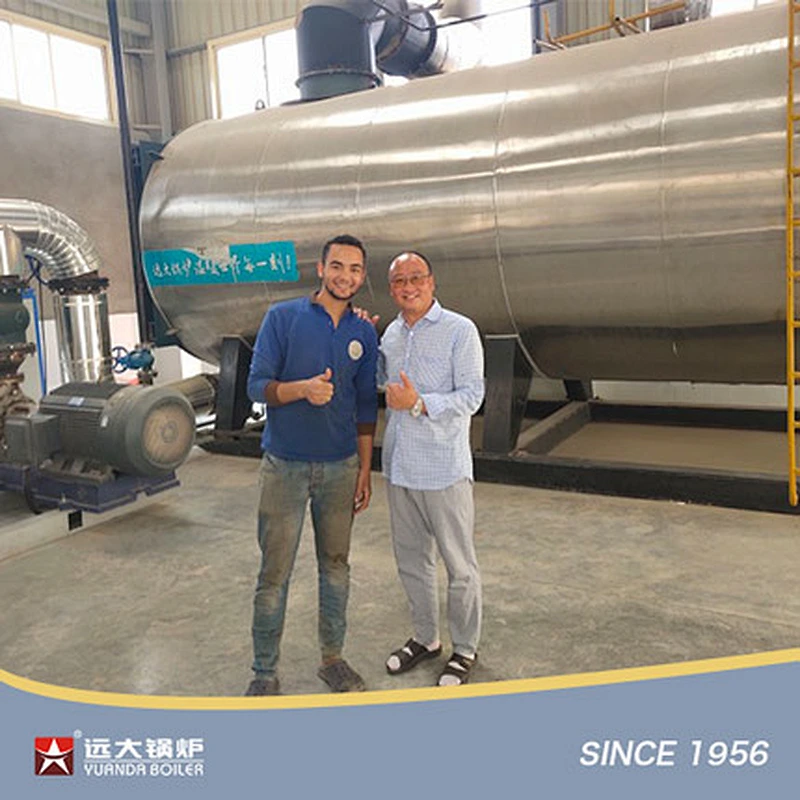 YYQW Thermal Oil Boiler Hot Oil Heater Horizontal Gas Diesel Fired Thermic Fluid Heater China