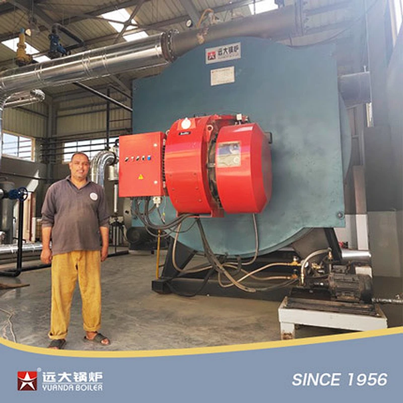 YYQW Thermal Oil Boiler Hot Oil Heater Horizontal Gas Diesel Fired Thermic Fluid Heater China