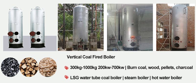 vertical coal boiler