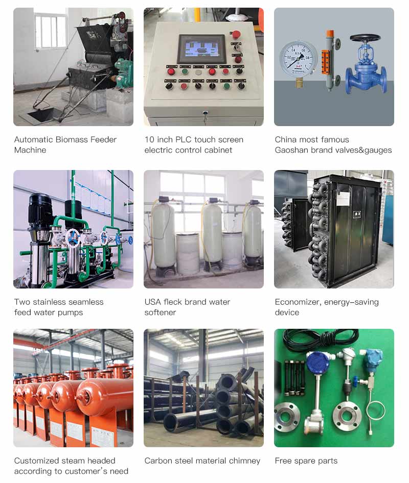 dzl biomass boiler