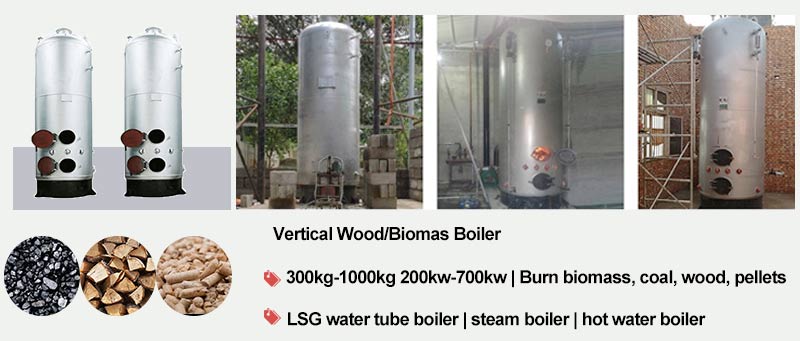 vertical wood biomass boiler