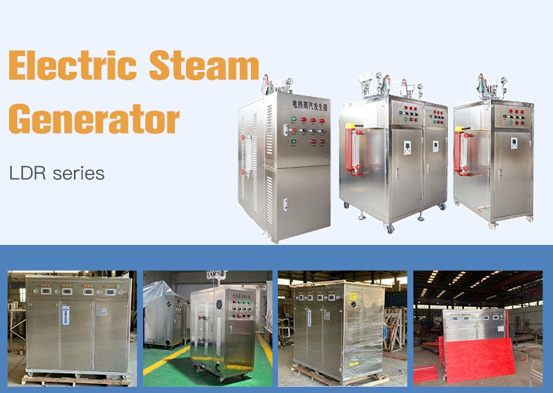 LDR elecric steam generator