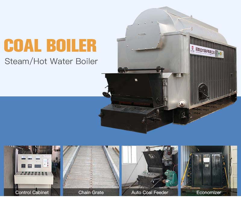 DZL chain grate coal boiler