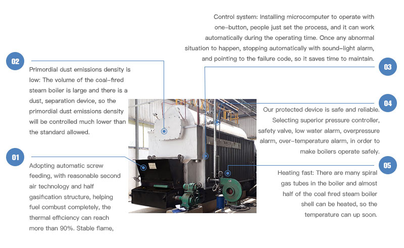 dzl coal boiler features