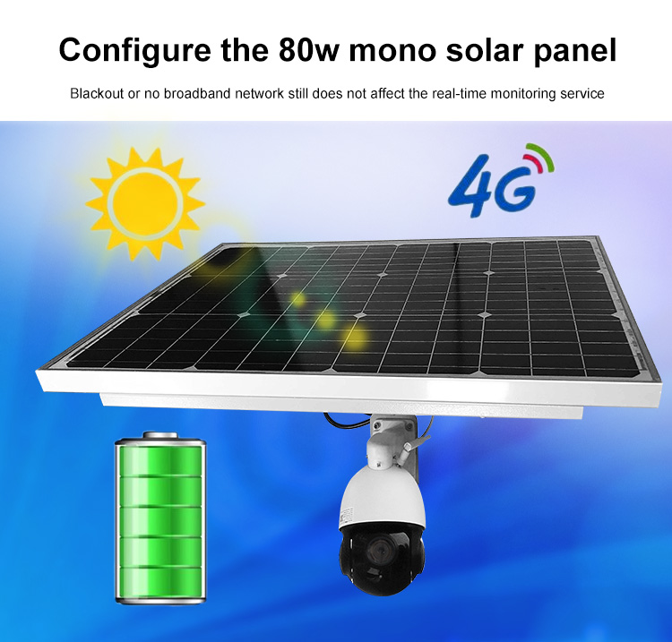 80W solar system with camera