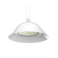Safty Food High Bay Light, Lowbay Light, Pendant LED luminaires
