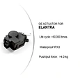 elantra 