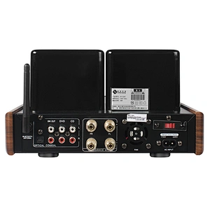 Integrated Vacuum Tube 60W powerfu Amplifier for HIFI