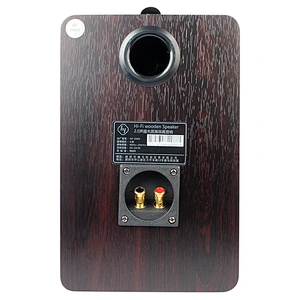 HIFI passive Bookshelf speaker