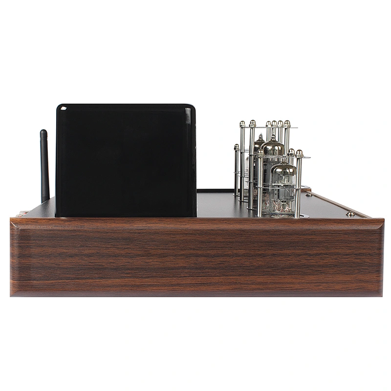 Integrated Vacuum Tube 60W powerfu Amplifier for HIFI