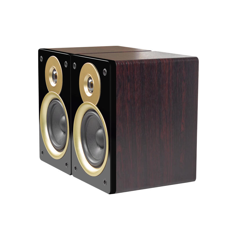 HIFI bookshelf speaker