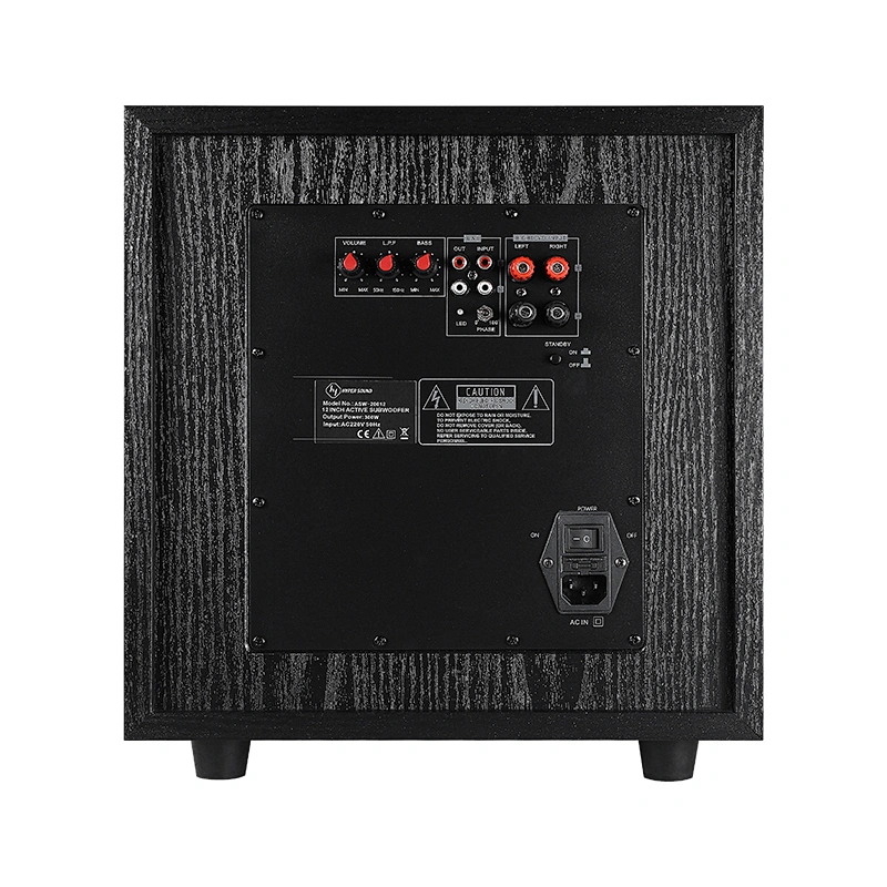 12 inch 300W professional Home audio Subwoofer speaker