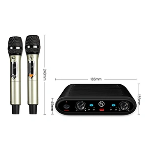 Dual Channel Professional UHF Karaoke wireless microphone