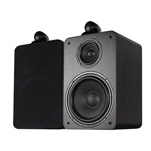HIFI passive Bookshelf speaker