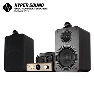 HIFI passive Bookshelf speaker