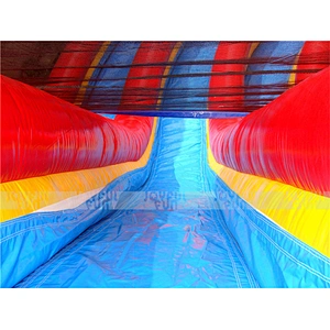 Large argearge Inflatable Funny Water Slides with Pool, Inflatable Swimming Pool Slide for Sales