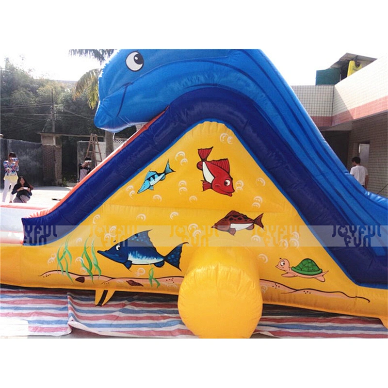 China professional supplier hot sale inflatable bounce slide inflatable new slide for sale