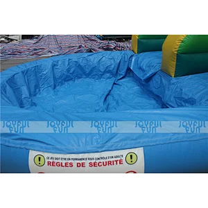 High Quality Amusement Park Tropical Inflatable Water Slide with Pool Cleaner