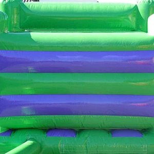 Customizable Animal Theme Inflatable jumper for Kids
