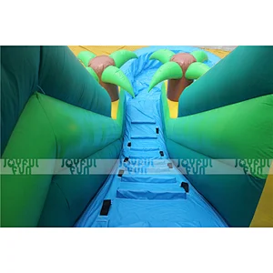 High Quality Amusement Park Tropical Inflatable Water Slide with Pool Cleaner