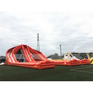 High Quality Customized Design Commercial Grade Outdoor Water Slides 6 Lanes Large Inflatable Hippo Water Slide for Sale
