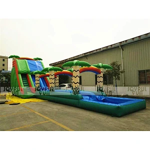 Indoor Playground Equipment Giant Customized Outdoor Commercial Inflatable Water Slide with Pool in Water Park
