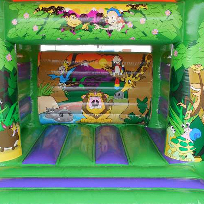 Customizable Animal Theme Inflatable jumper for Kids
