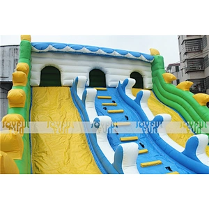 Customizable Inflatable Double Slides for Kids for Sale