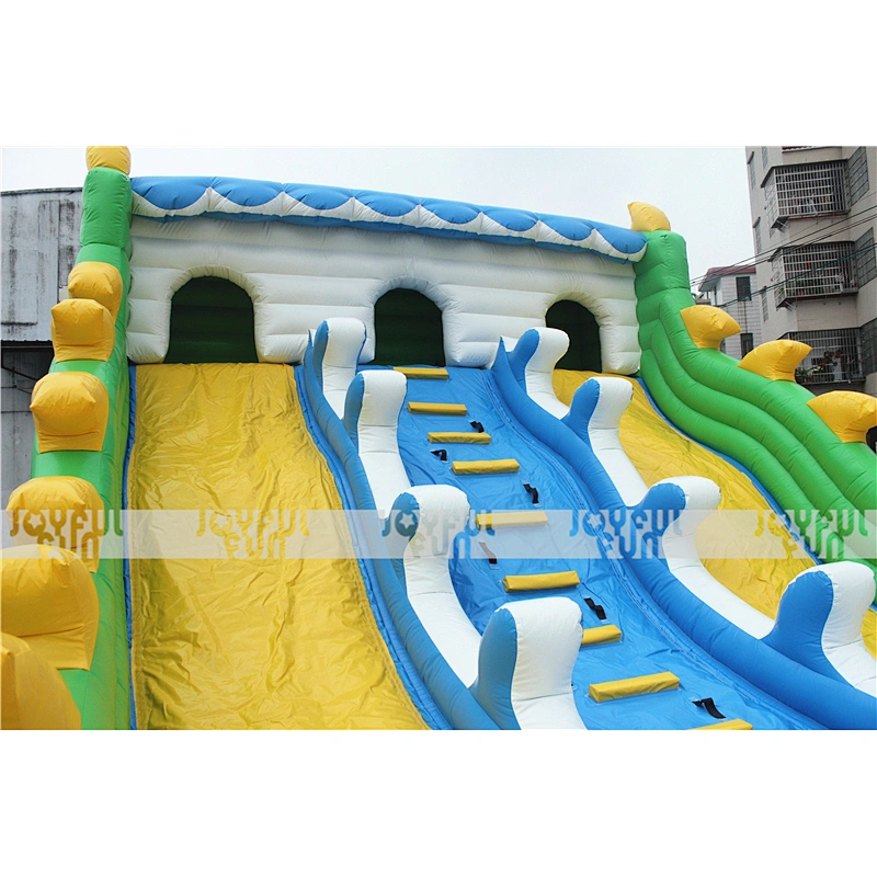 Customizable Inflatable Double Slides for Kids for Sale