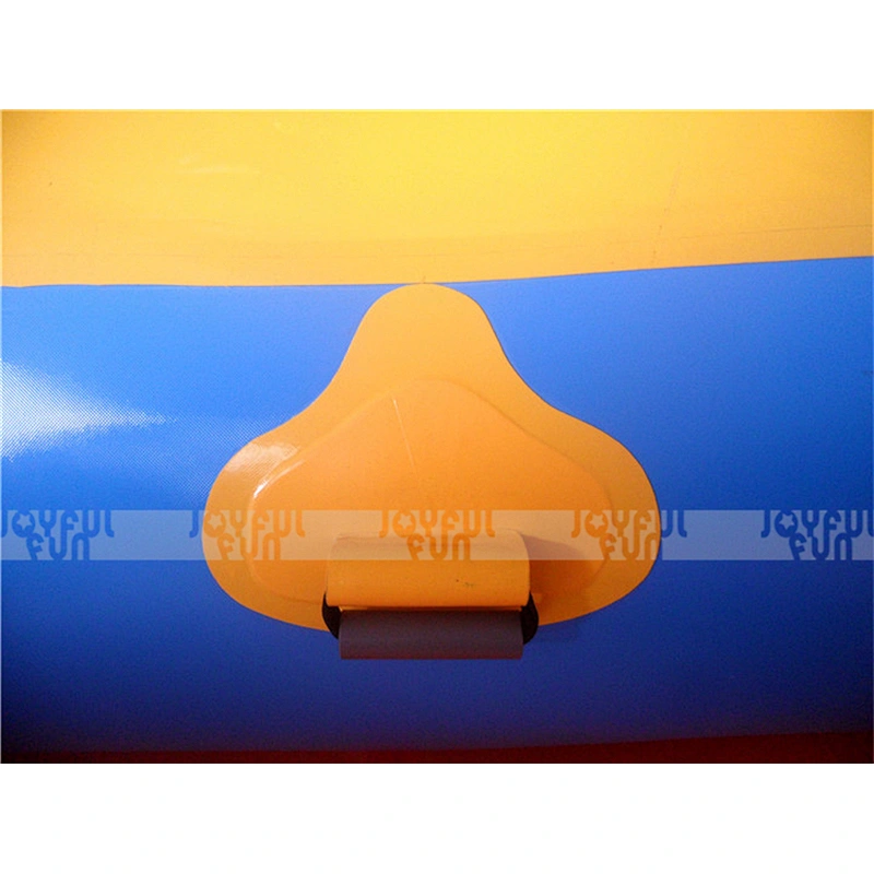 Wholesale Professional Supplier Water Park Slides Amusement Park Outdoor Large Inflatable Water Slide in Slide